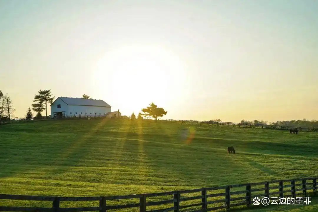 自媒体写作真相:靠投稿月入过万,根本不值得羡慕