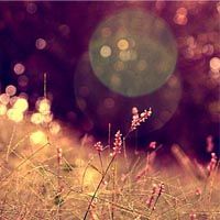 DNF的狂战觉醒需要什么前置技能?