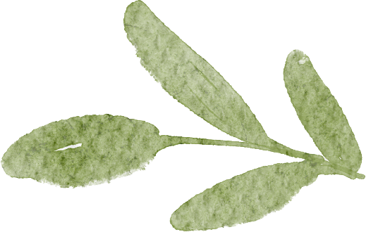 转载：这些天牛你能认出几种？99%的人都认不全