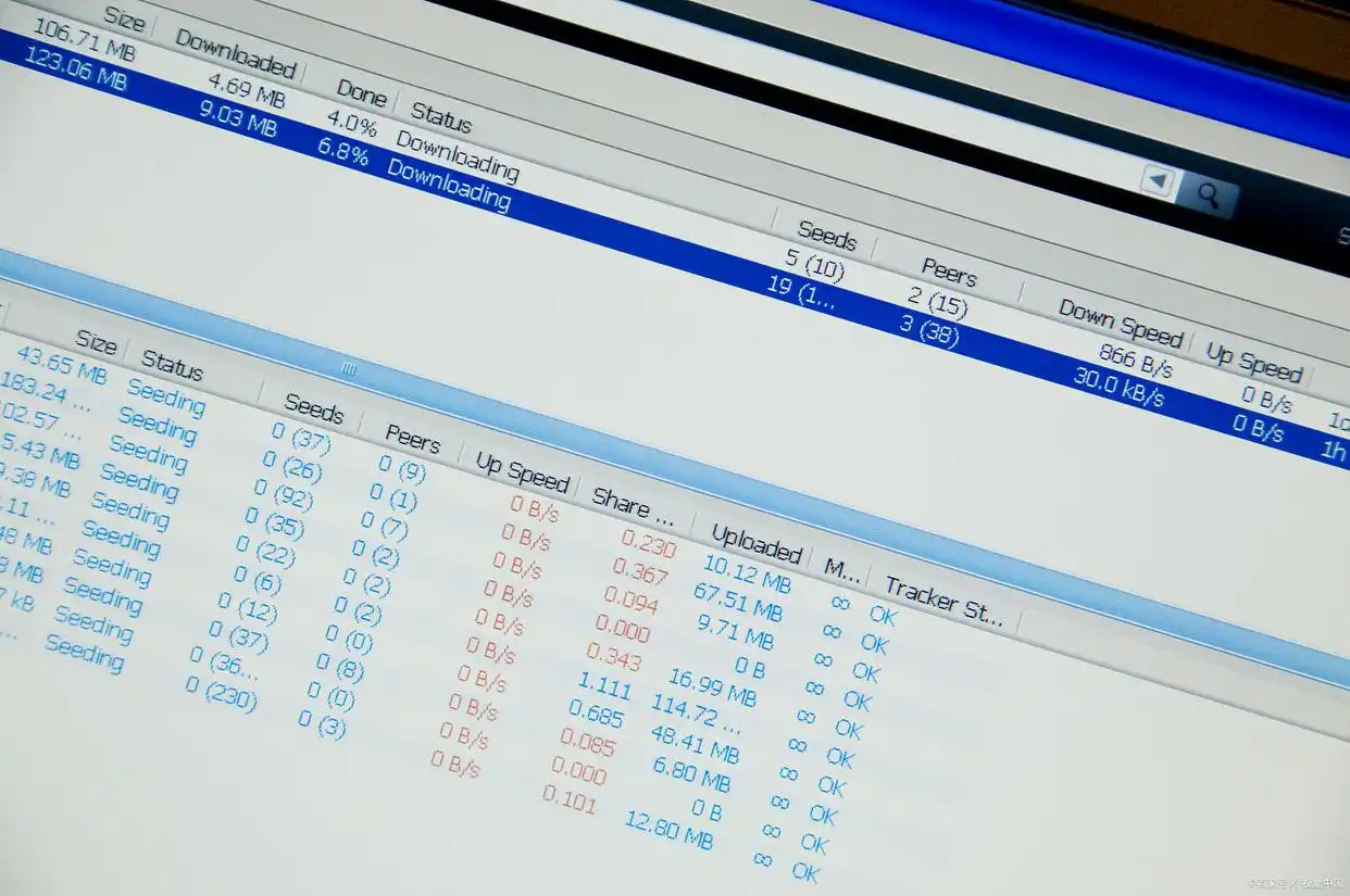 毕业论文会查原始数据吗