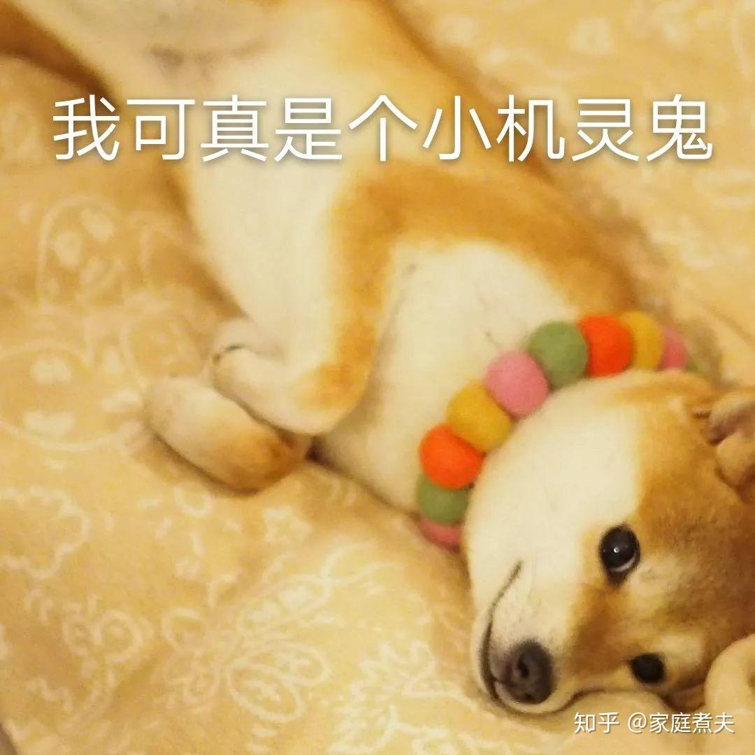 冰箱推荐 | 冰箱怎么选？| 2025年冰箱选购避坑指南