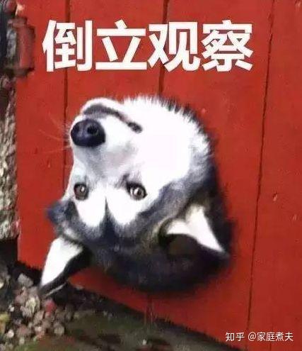 冰箱推荐 | 冰箱怎么选？| 2025年冰箱选购避坑指南