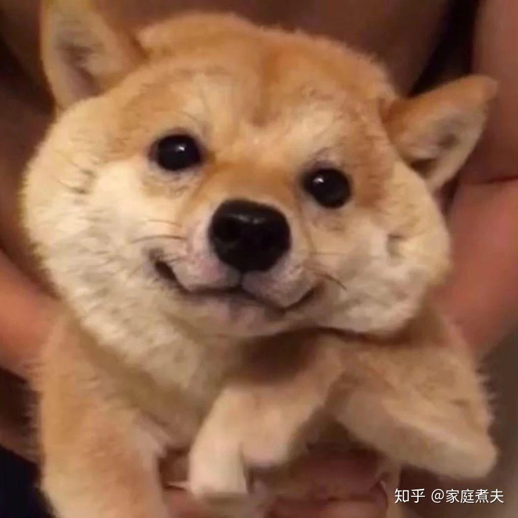 冰箱推荐 | 冰箱怎么选？| 2025年冰箱选购避坑指南