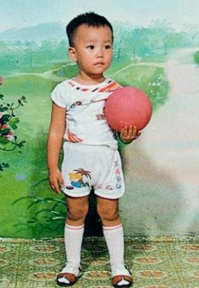 刘翔获36金却因伤退赛被骂，母亲曾说：若他不再优秀请大家原谅