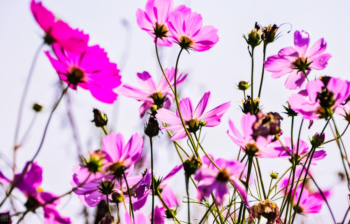 拼多多登陆设备怎么查看?拼多多删除登录信息的方法教程