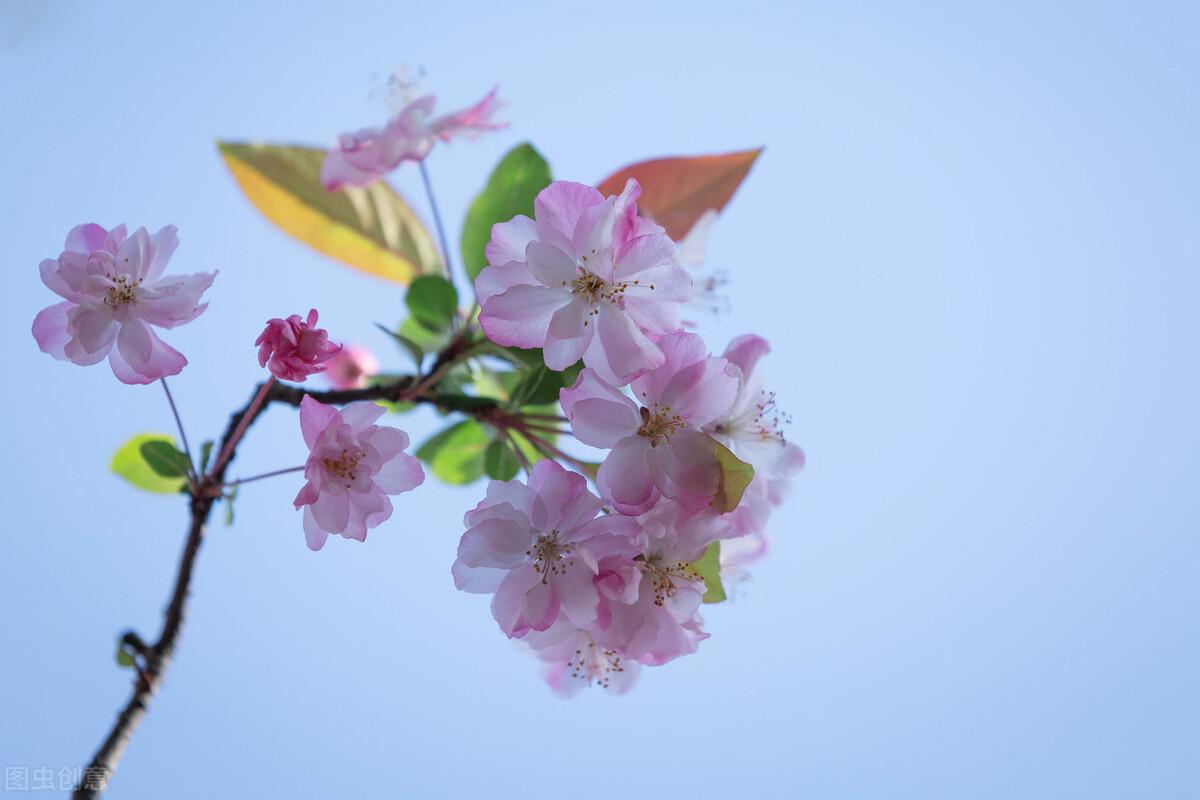 拼多多登陆设备怎么查看?拼多多删除登录信息的方法教程