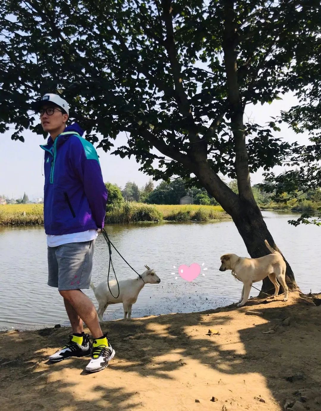 刘翔两届奥运退赛,12年后恩师孙海平述个中辛酸