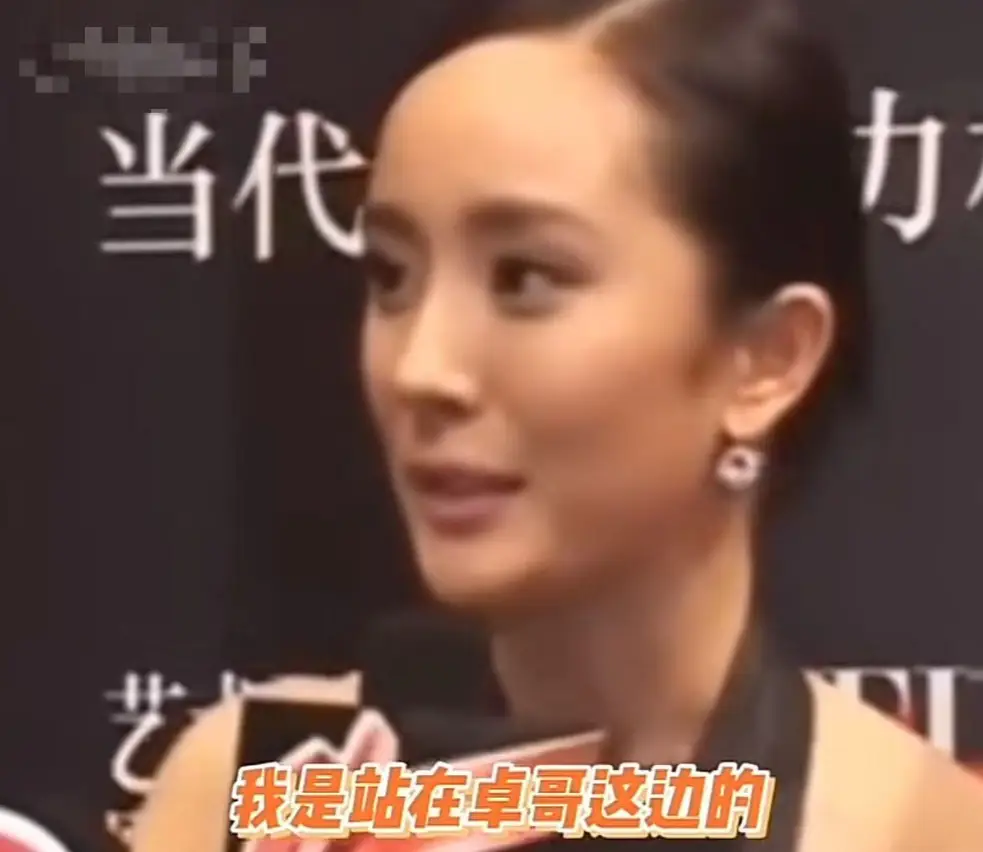 宁愿退圈也要说出真相，如果梅艳芳还在，赵文卓不至于没落至此