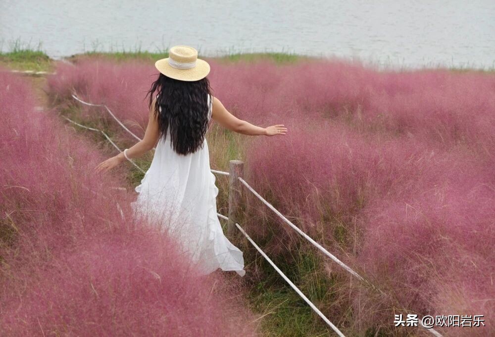 拍照巧用摄影前景，让你的画面瞬间有质感