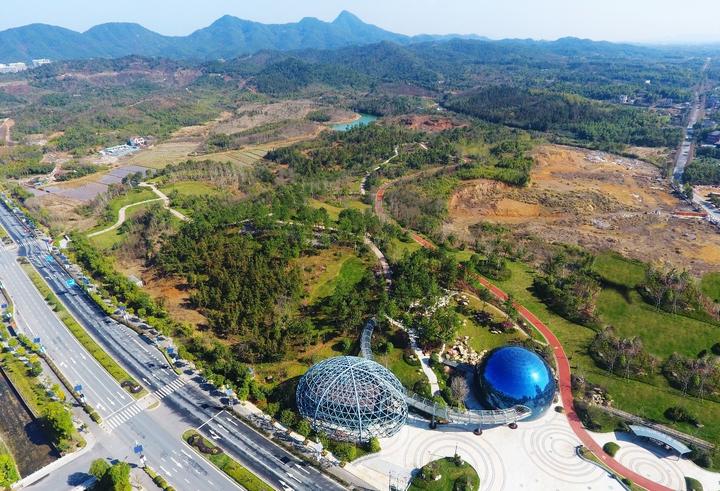 这座“城”10岁了！青山湖畔科技之林正葱郁