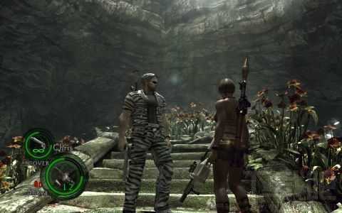 生化危机5pc版介绍