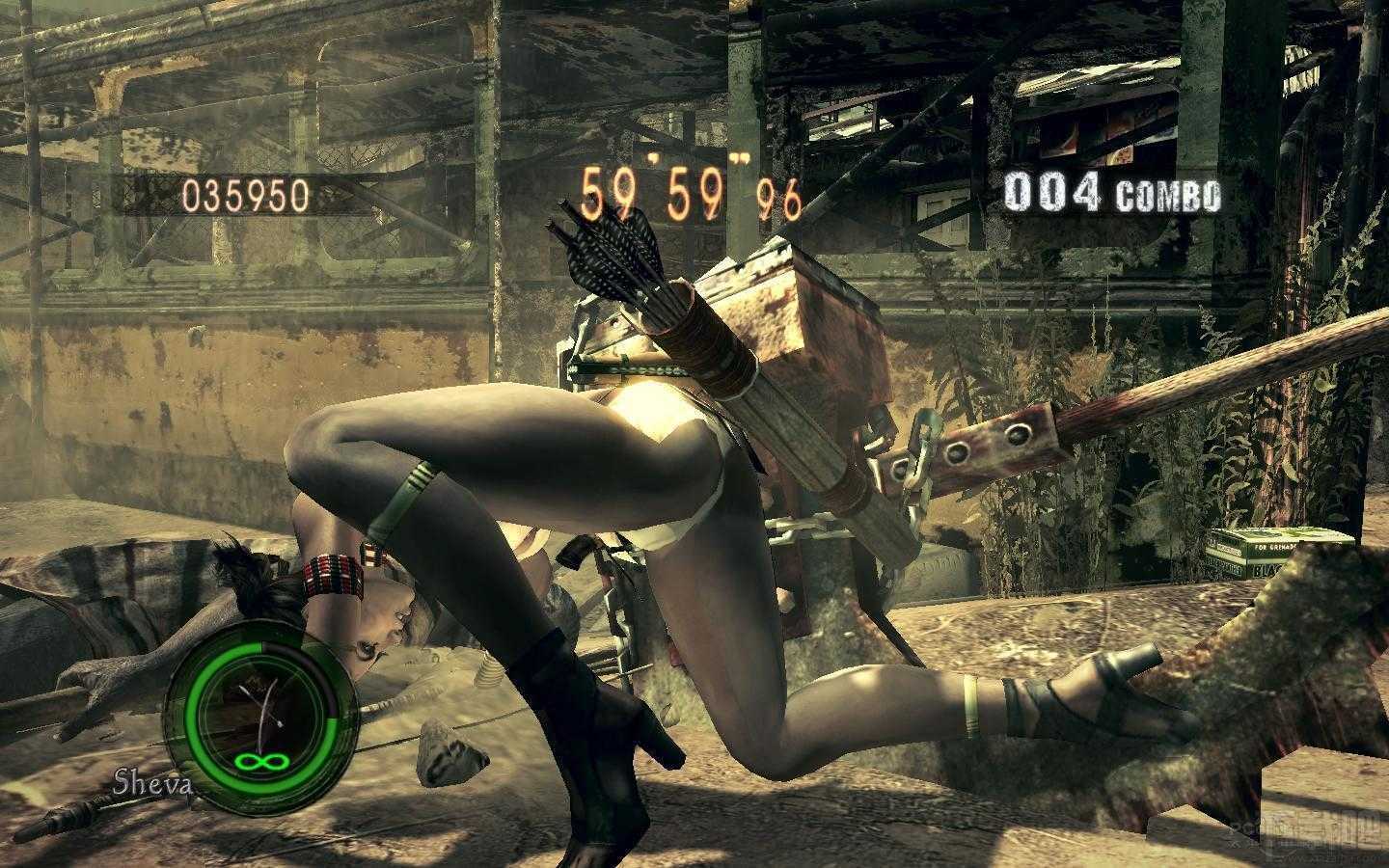 生化危机5pc版介绍