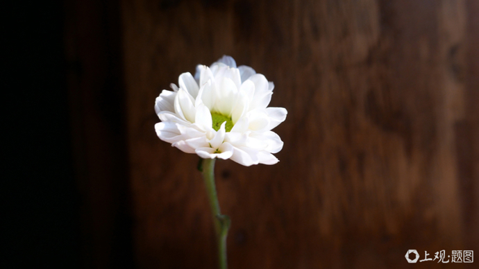 台湾知名时事评论员张友骅去世