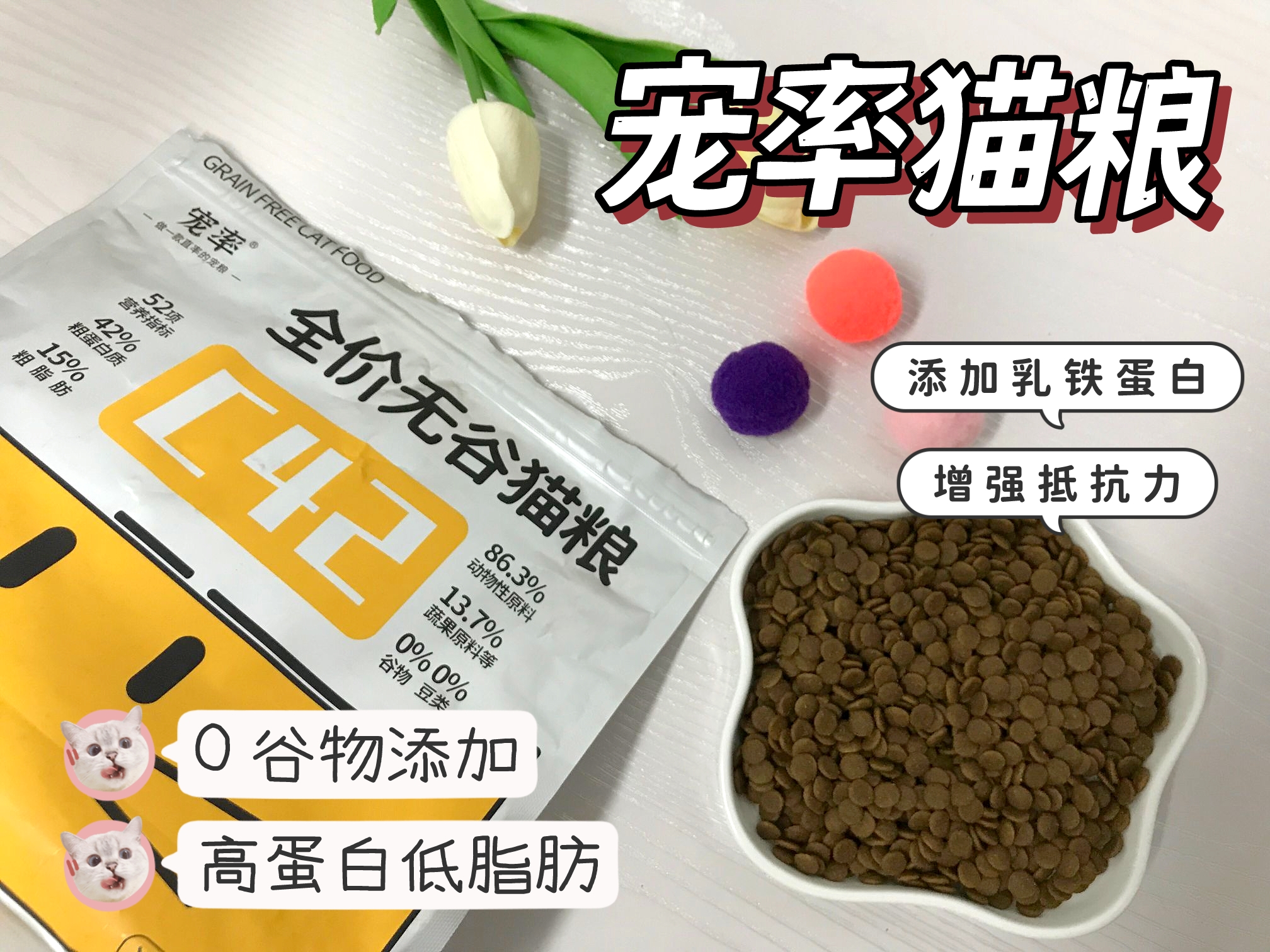 多猫家庭是什么体验？8年养猫人告诉你