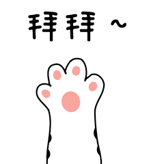 多猫家庭是什么体验？8年养猫人告诉你