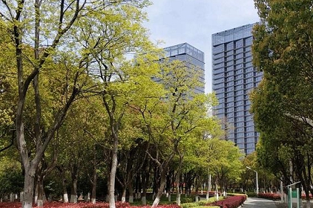 公司取名起名测字软件,公司取名免费打分查询软件