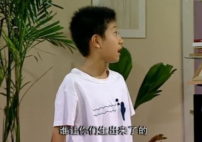 被“骂”了16年,《家有儿女》中的刘星,终于“翻身”了