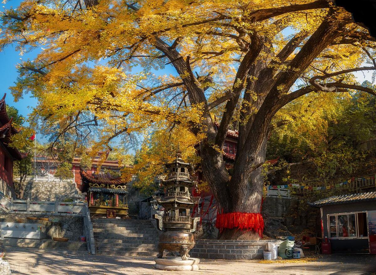 山东临沂:旅游去临沂,这么玩肯定行,内附超详细旅游攻略