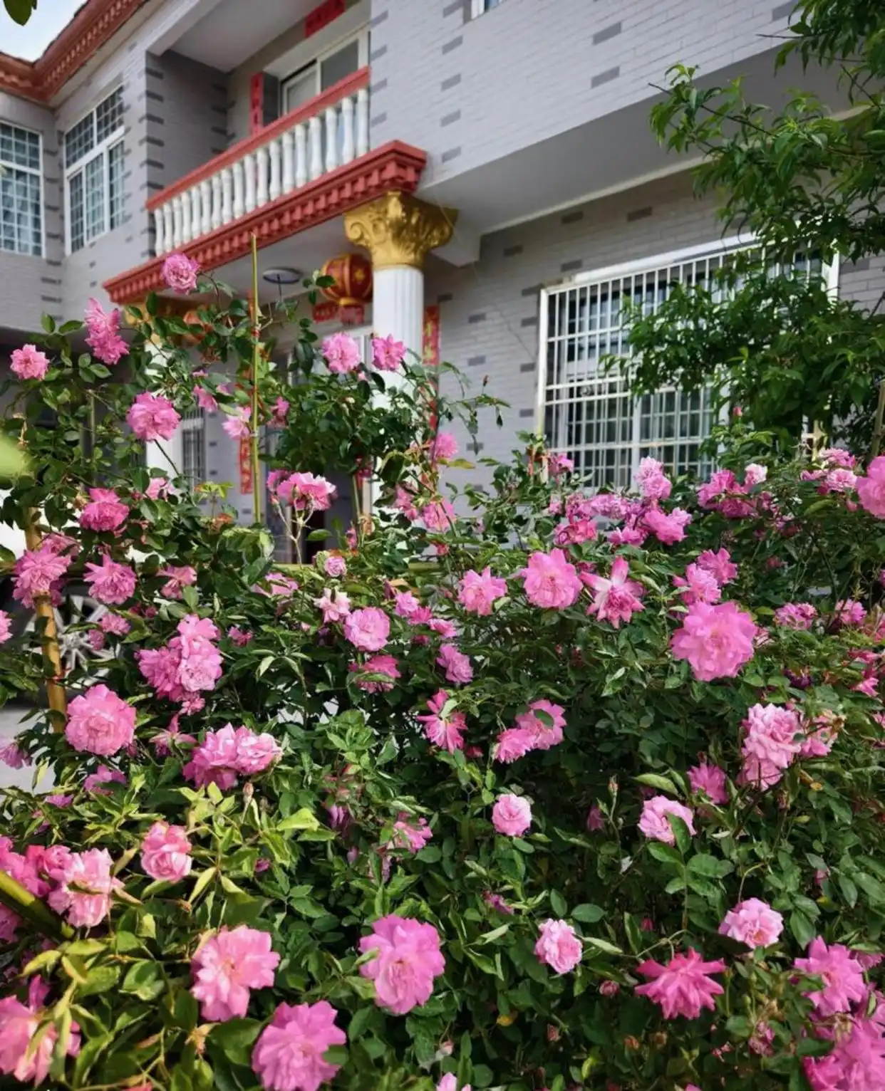 她是张国立的前妻丈夫移情别恋她低调成全一生未再嫁如今67岁依然单身她就是罗秀春 罗秀春早年也是科班出