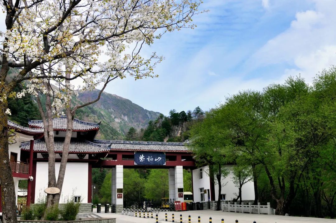 汉中10大景点,惊艳绝美,一起去看你未曾见过的魅力汉中