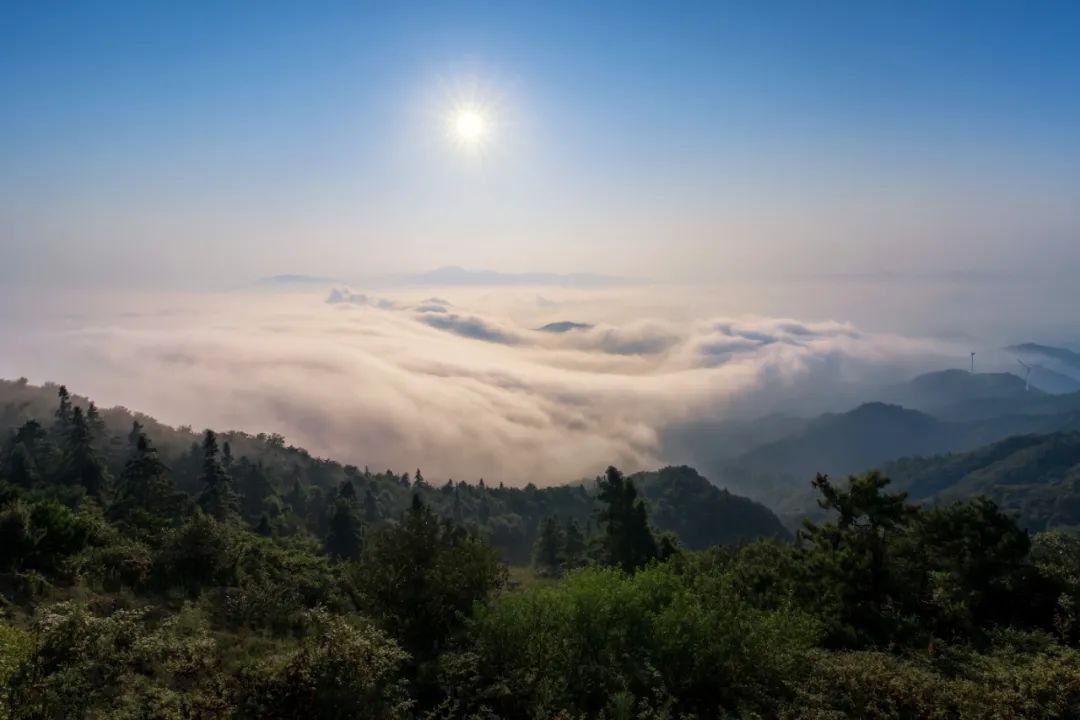 汉中10大景点,惊艳绝美,一起去看你未曾见过的魅力汉中