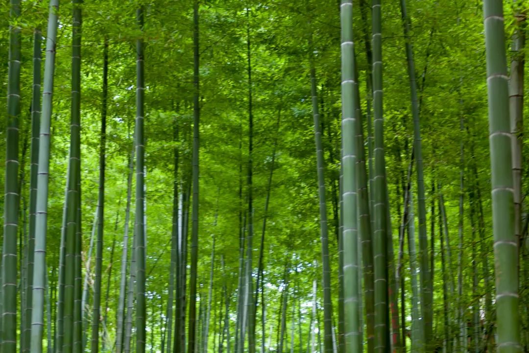 无锡最值得去的10个景点，最后一个不容错过，看看你去过几个？