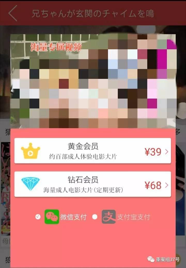 揭秘涉黄APP骗局：20秒小电影作幌 一年收入7个亿