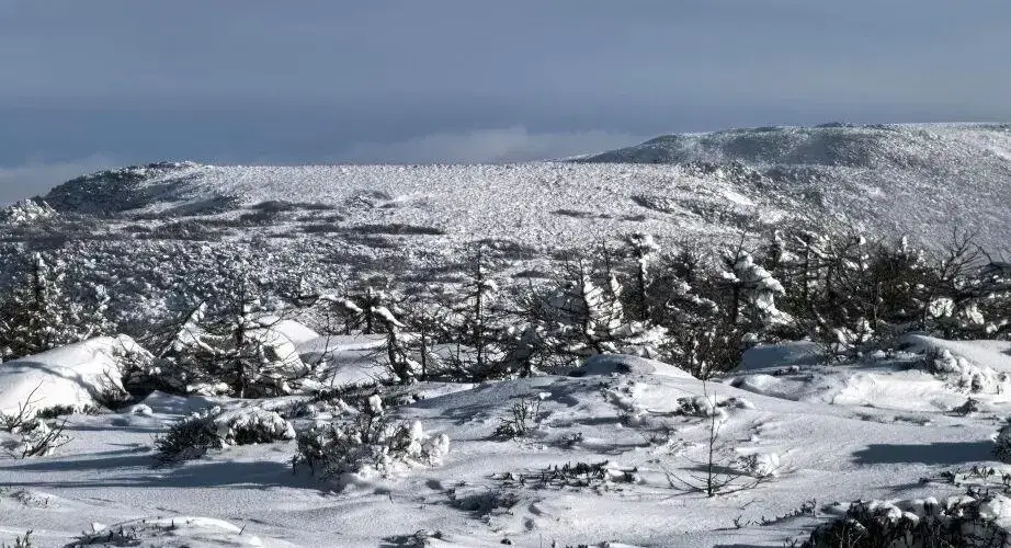 【应急科普】户外徒步事故频发，请接收这份安全指南！