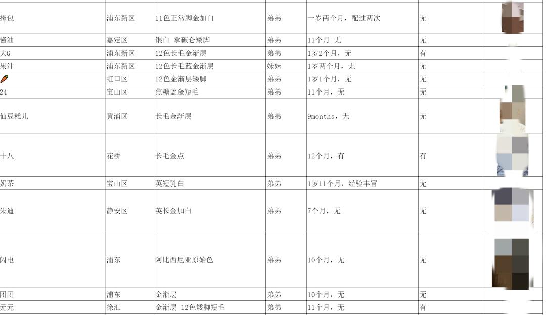 被催婚的年轻人，开始给宠物「包办爱情」
