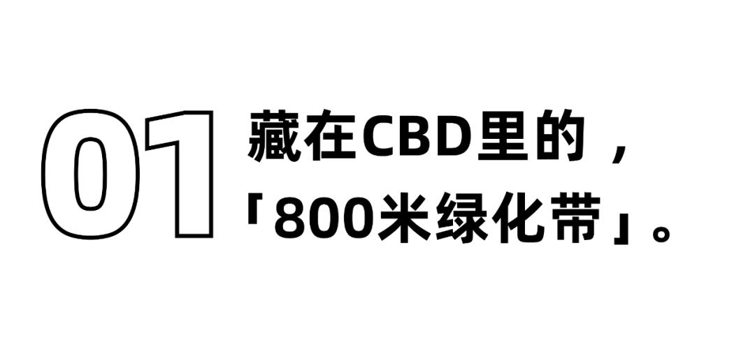 华强北,不止是电子产品的天堂