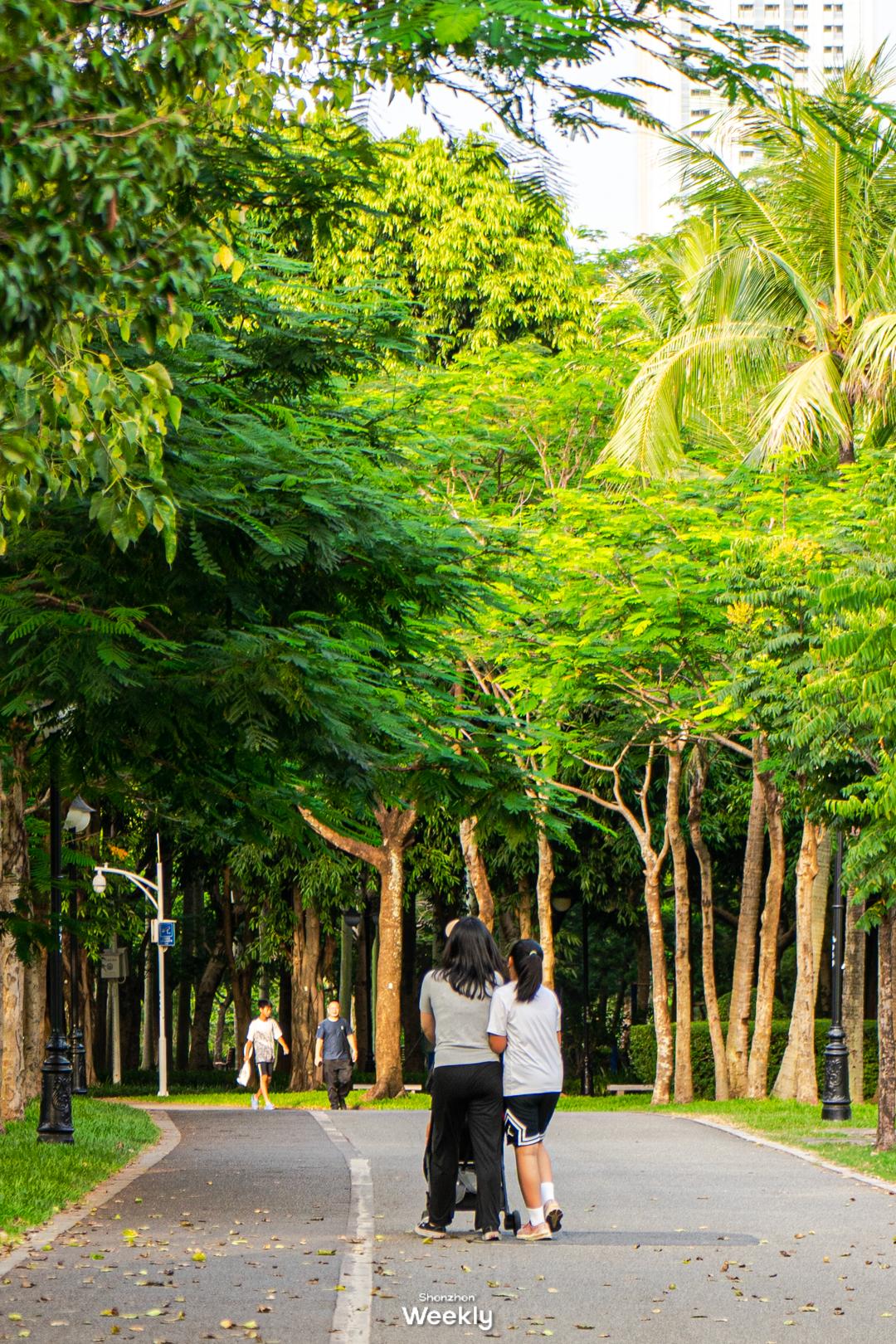 华强北,不止是电子产品的天堂