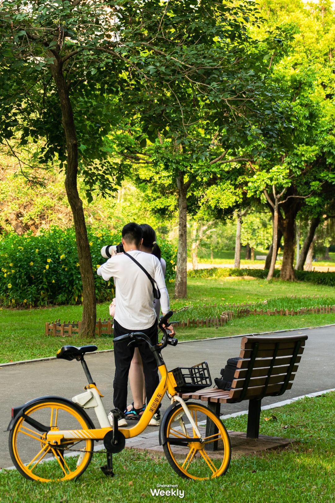 华强北,不止是电子产品的天堂