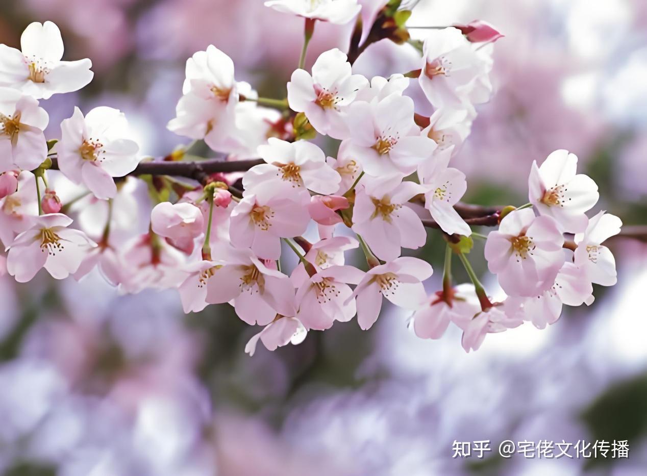 教育类易过稿第一批目录内：精选学术期刊杂志推荐