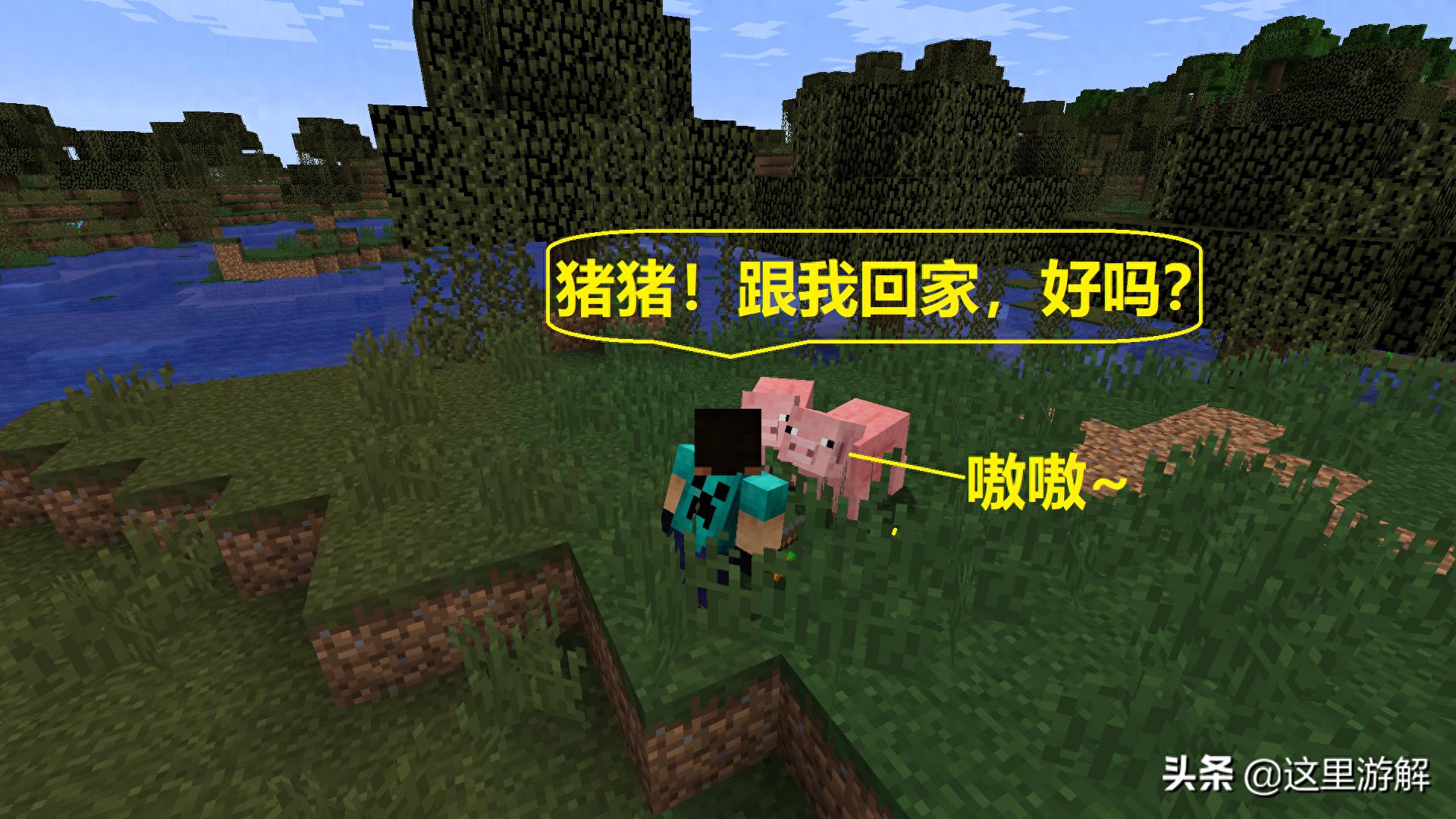 我的世界：与猪玩游戏，虽然猪输了，但这也太像是现实世界的猪了