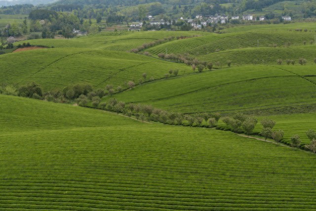 2026立春：凌晨4点交节，六九头双春开端，60年一遇吉兆