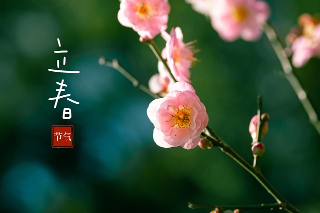 2026立春：凌晨4点交节，六九头双春开端，60年一遇吉兆
