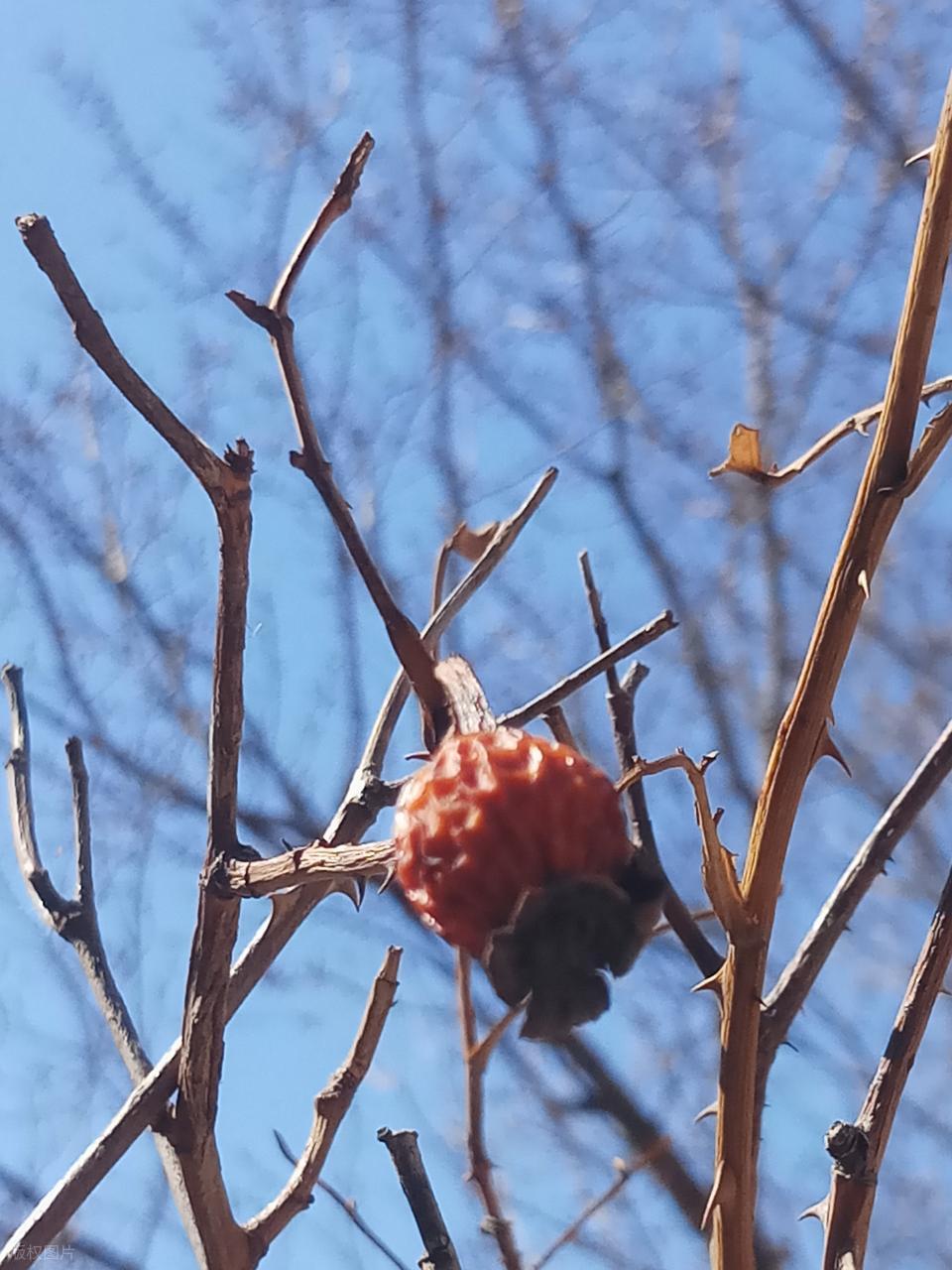 就想问问余沧海：“存在感”是自己硬刷出来的吗？