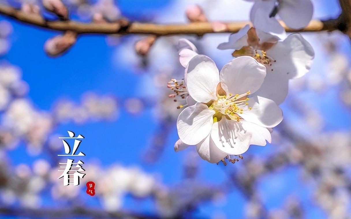 2026立春时间，4种人要“躲春”，记得做3事忌3事，新年开个好头