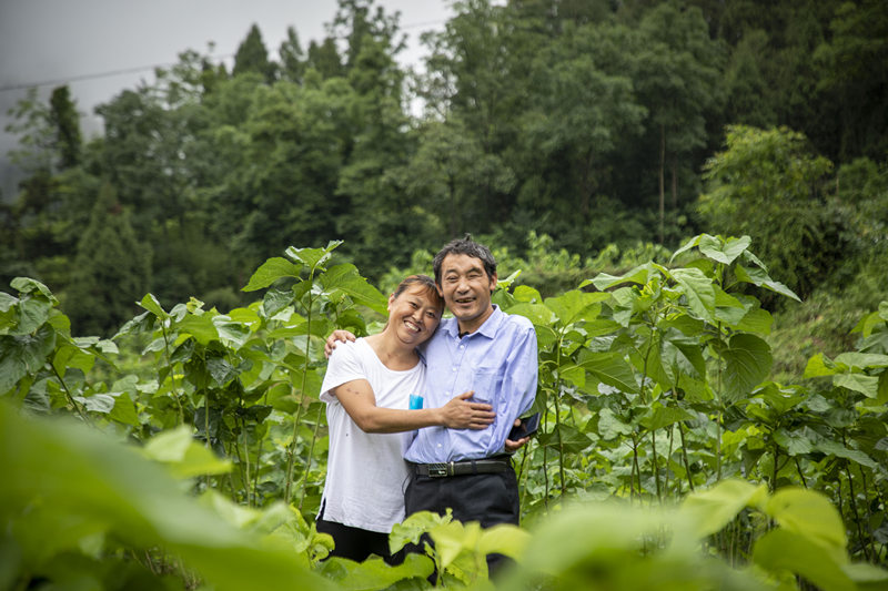 走向我们的小康生活(14)丨黔江区金溪镇:把脉问诊开良方 打造“三金”奔小康