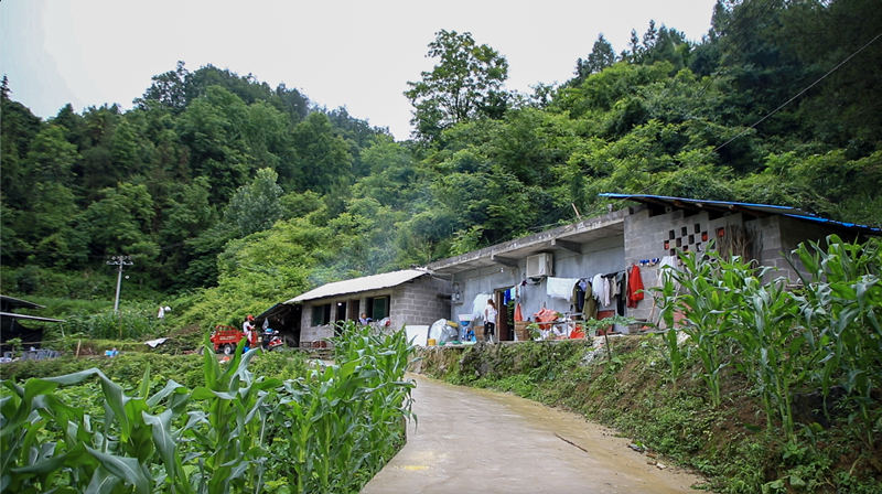 走向我们的小康生活(14)丨黔江区金溪镇:把脉问诊开良方 打造“三金”奔小康