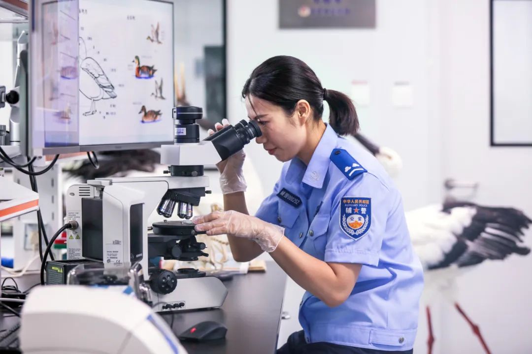 277人！东营公安公开招录辅警啦！9月20日报名~