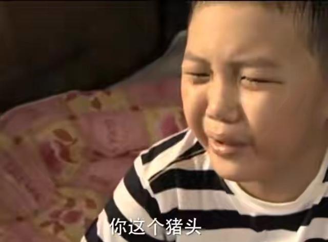 “晴格格”王艳:22岁嫁大11岁富豪,被小8岁继子打被亲儿子辱说