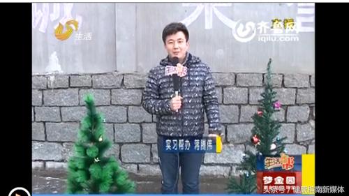 给妈妈们提个醒!漂亮的圣诞树1分钟烧成渣,市面很难见合格产品