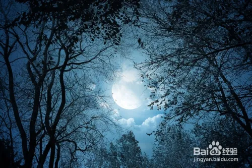 如何玩杀人游戏(天黑请闭眼)