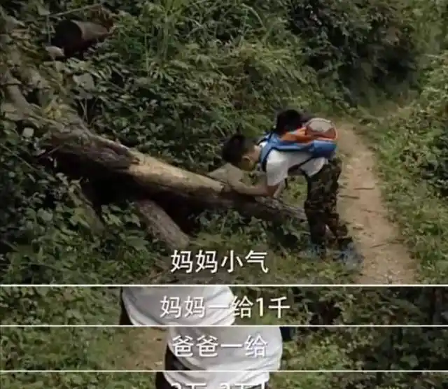 豪门梦碎王艳重生?揭秘隐情!