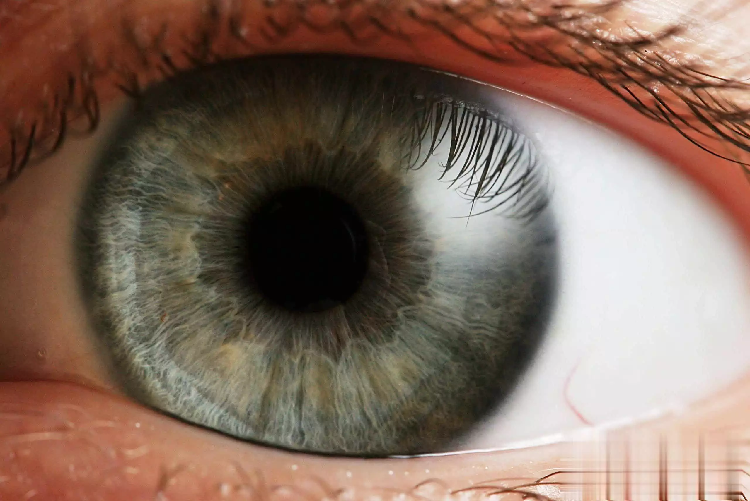 手机蓝光烦恼多，橙红模式与护眼壁纸能否解忧？