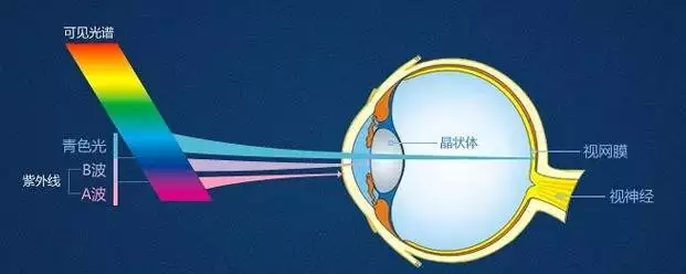 睡前护眼秘籍：2种模式壁纸，告别手机蓝光伤害！