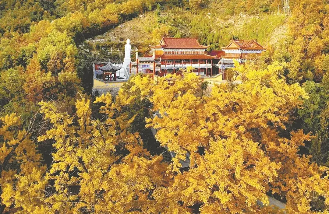 墨子VS鲁班，看俩鲁山老乡4次舌战！