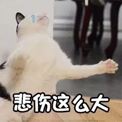 有哪些写文章过稿的诀窍秘籍？