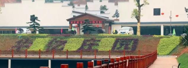 株洲市郊八大农庄自助游,吃喝玩乐一站搞定!